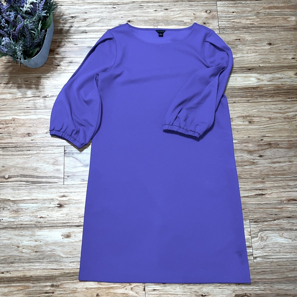 Gorgeous Ann Taylor Dress